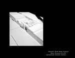 Wood Model