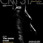 Stallion