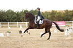 SBM_006893