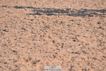 230606A-182012-00347