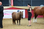 SBM_16747