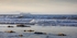 Afloat on the Firth