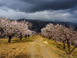 Andalucia 3 -107