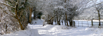 Snow Fall
