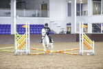 SBM_002965