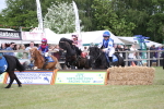 SBM_09946