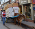 India Porbandar street scene and bullock cart