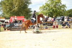 SBM_41397