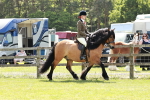 SBM_07041