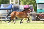 SBM_02339