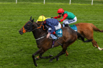 160524-Race 2-Point Lynas-1811