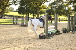 SBM_55951