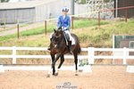 201-Natasha.Collings-Costello-Dovevale.Tender.Dove portfolio