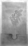 Gentle Drawing 36in x 60in