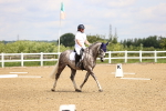 SBM_000593