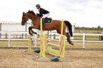 SBM_026865