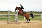 SBM_003717