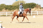 SBM_018166