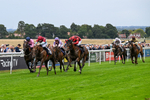 290826-Race 5-Supreme Clarets-7379