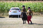 WJ6_8101