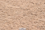 230611A-093126-04517