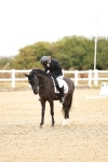 SBM_000114