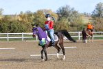 SBM_000494