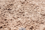 250510-110548-11002