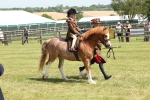 SBM_05269