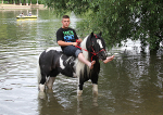 100702 FLOWERPOT HORSE IMG_0537