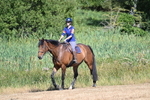 WJ7_7893