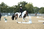 SBM_30648