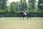 WJ6_8041
