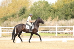 SBM_012371