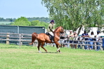 SBM_17399