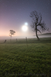 ab205 Moon and venus Ashey