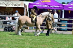 SBM_05934