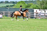 SBM_08004