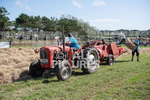 Guernsey Agricultural Show 2021-204