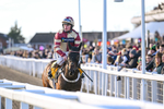141224-Race 1-Quantock Hills-1161