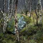 ERRATIC #2- LOCH MAREE, SCOTLAND