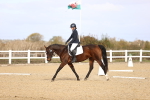 SBM_009595