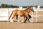 SBM_08611