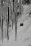A cold day 4757