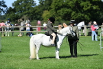 SBM_39577