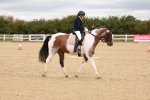 SBM_001849