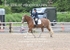 BPP_9432