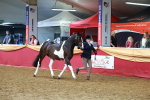 SBM_17278