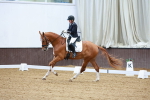 SBM_001381