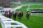 161125-Race 6-Saint Clovis-2015